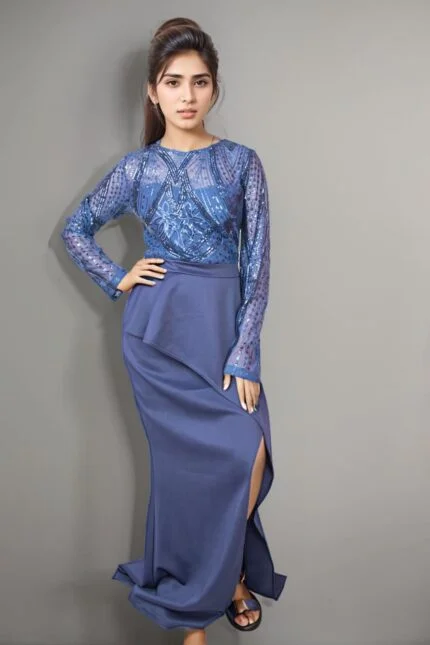 Sparkle Full Sleeve blue Sequin Gown